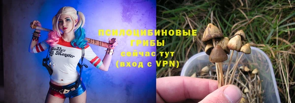 твердый Абдулино