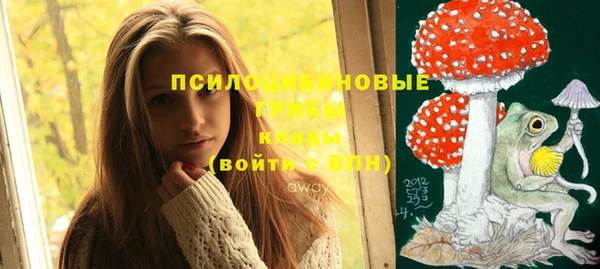СК Абинск