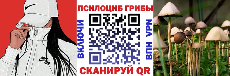 что такое наркотик  блэк спрут зеркало  Галлюциногенные грибы ЛСД  Шумерля 